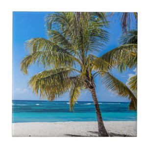 Azulejo Isla Saona Beach República Dominicana regalo Poste