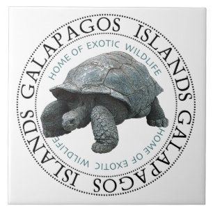 Azulejo Islas Galápagos Tortoise T-Shirt