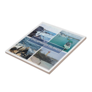 Azulejo Islas GALAPAGOS zEC003, Mosaic, Ecuador,