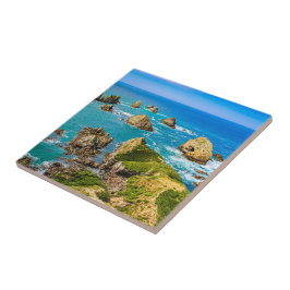 Azulejo Islas Nugget Point, Nueva Zelandia