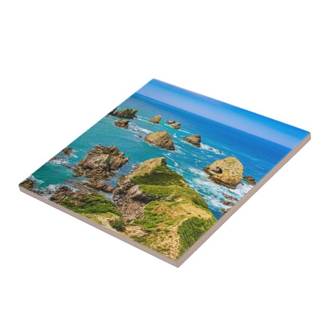 Azulejo Islas Nugget Point, Nueva Zelandia (Lado)