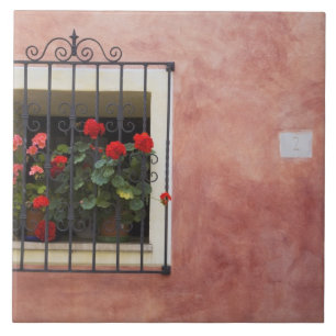 Azulejo Italia, Asciano, cajas de ventana con primavera fr