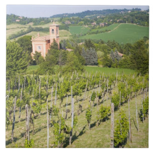 Azulejo Italia, Bolonia, Vista a través de viñedo a Chiesa