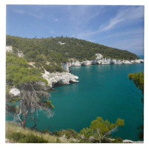 Azulejo Italia, Puglia, Promontorio del Gargano, Testa