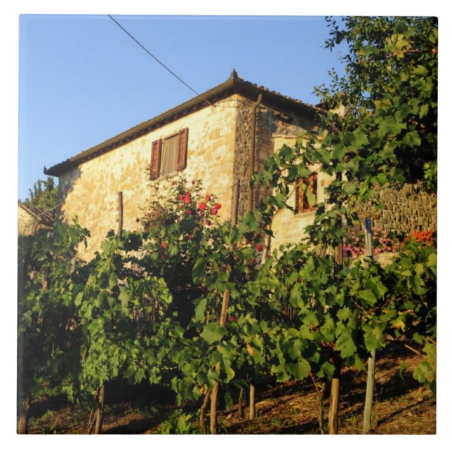 Azulejo Italia, Toscana, Greve. Escenas de vino de verano  (Frente)