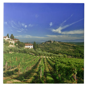 Azulejo Italia, Toscana, Greve. Los viñedos de Castello