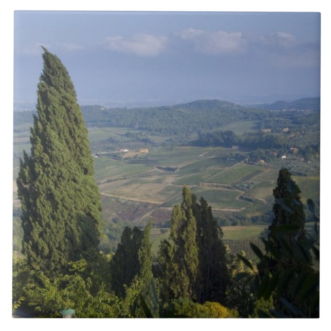 Azulejo Italia, Toscana, Montepulciano. Vista de (Frente)