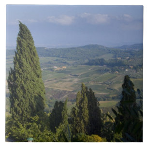 Azulejo Italia, Toscana, Montepulciano. Vista de la
