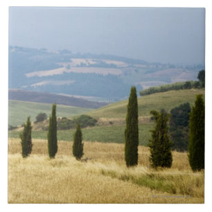 Azulejo Italia. Toscana. Pienza.