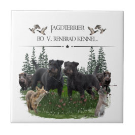 Azulejo Jagdterrier Bo contra Renbrad Kennel. Piel portáti