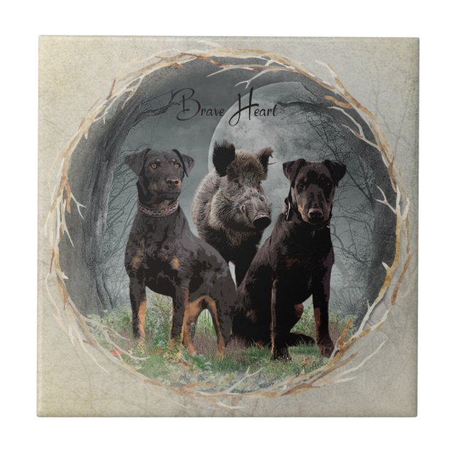 Azulejo Jagdterrier, valiente poster de tapicería cardíaca (Frente)