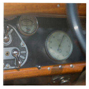 Azulejo jaguar antiguo 2