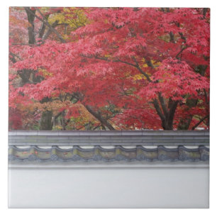 Azulejo Japón, Kyoto, color de otoño en el templo Eikando