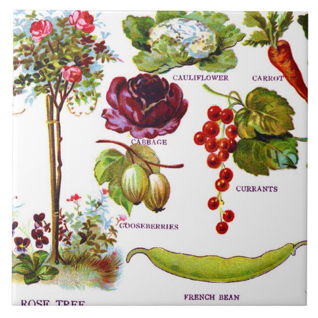 Azulejo Jardín Botanicals del verano (Frente)