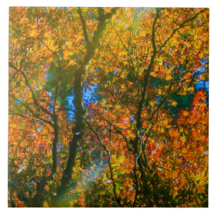 Azulejo Jardín Botánico VanDusen Vancouver, Canadá