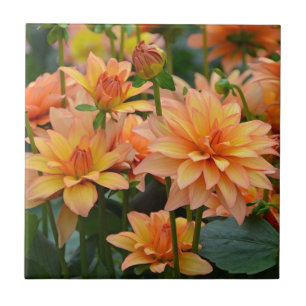 Azulejo jardín de flores naranja dahlia