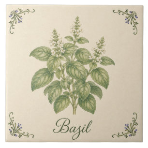 Azulejo Jardín de hierbas de albahaca botánica vintage par