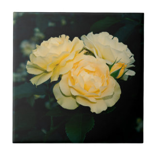 Azulejo Jardín de Rosas de oro