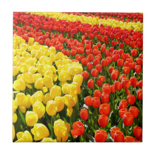 Azulejo Jardín de Tulip