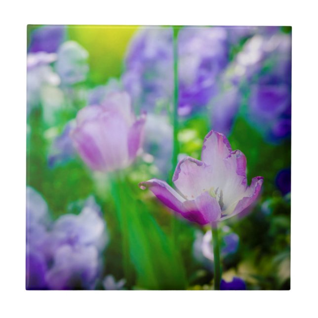 Azulejo Jardín de tulipanes, Giverny, Francia (Frente)