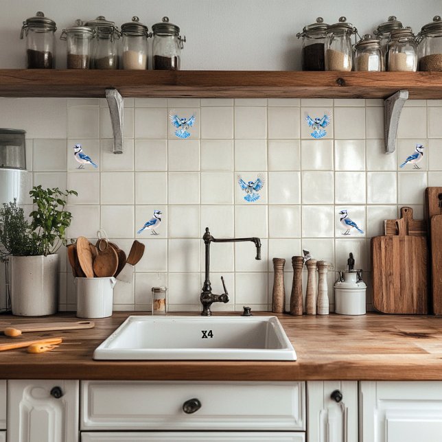 Azulejo Jay azul (Subido por el creador)