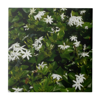 Azulejo Jazmín Flores Tropicales Florales Botánicas