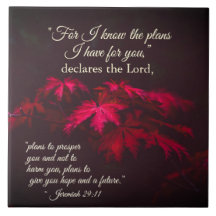 Jeremías 29:11 Porque conozco los planes que tengo