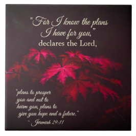 Azulejo Jeremías 29:11 Porque conozco los planes que tengo