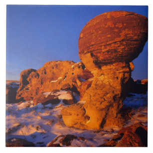 Azulejo Jerusalén roca en invierno cerca de hierba dulce