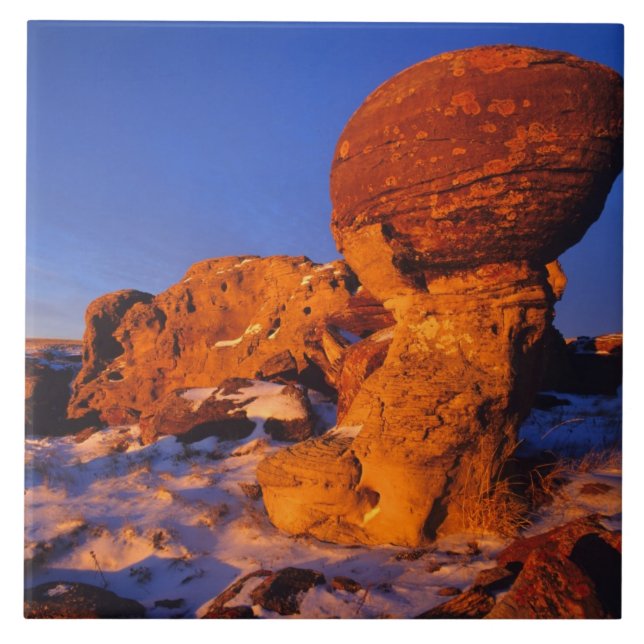 Azulejo Jerusalén roca en invierno cerca de hierba dulce (Frente)