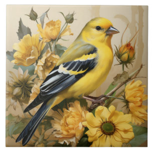 Azulejo Jilguero Americano, pájaro amarillo y negro