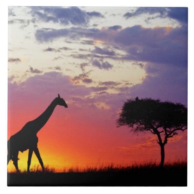 Azulejo Jirafa silueteada al amanecer, Giraffa (Frente)