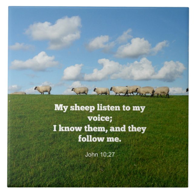 Azulejo Juan 10:27, verso de las Escrituras, (Frente)