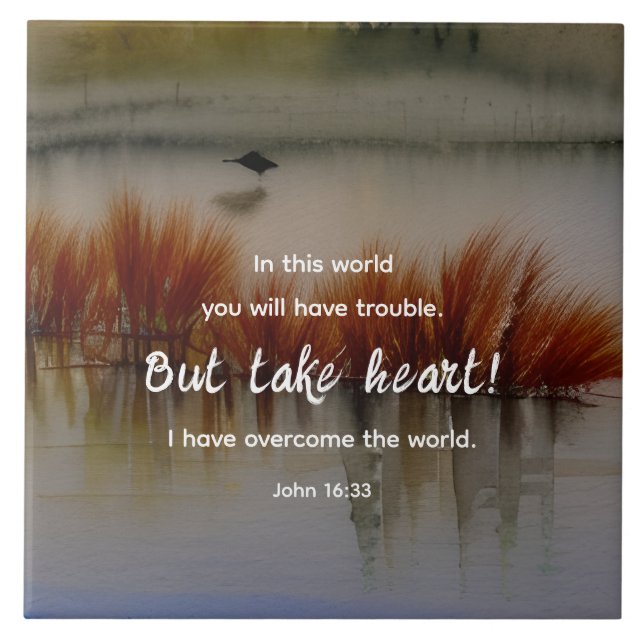 Azulejo Juan 16:33 He superado la biblia contra el cristia (Frente)