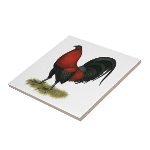 Azulejo Juego Americano BB Gallo Rojo Negro