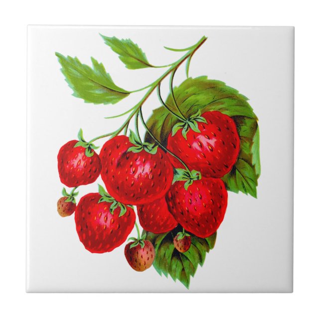Azulejo Juicy Red Strawberries (Frente)