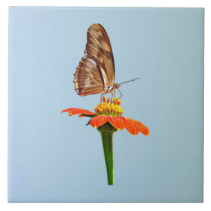 Azulejo Julia Butterfly en Zinnia