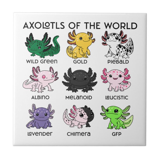 Azulejo Kawaii Axolotls of the Worlds (Frente)