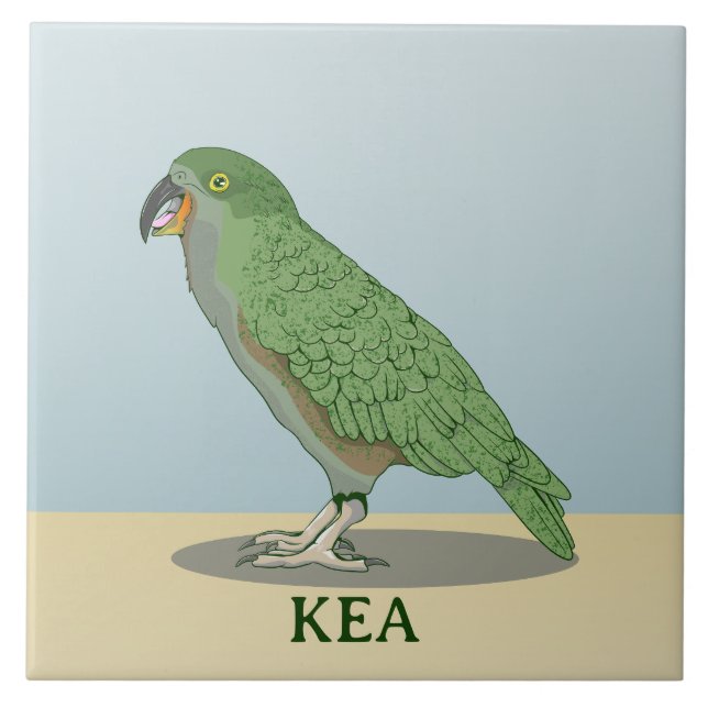 Azulejo Kea New Zealand Bird (Frente)