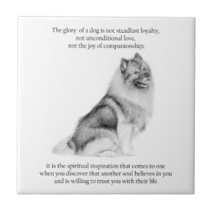 Azulejo Keeshond