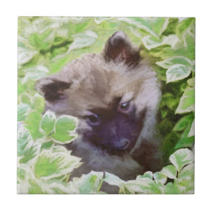 Azulejo Keeshond Puppy en el jardín pintando arte original