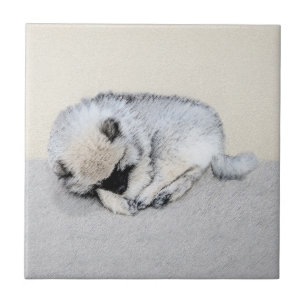Azulejo Keeshond Sleeping Pinting Pintura Original De Perr