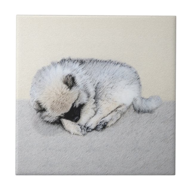 Azulejo Keeshond Sleeping Pinting Pintura Original De Perr (Frente)
