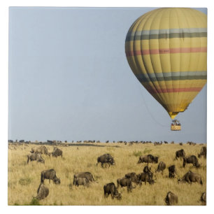 Azulejo Kenia, Masai Mara. Los turistas van en globo aeros