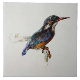 Azulejo Kingfisher (por John Ruskin)