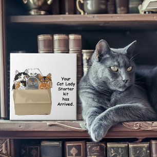 Azulejo Kit de inicio de señora de gatos divertida Humor B