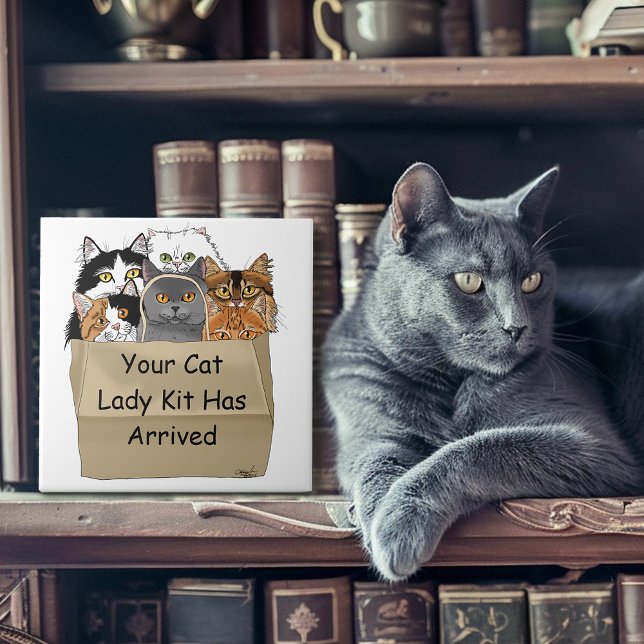 Azulejo Kit de inicio de señora de los gatos (Subido por el creador)