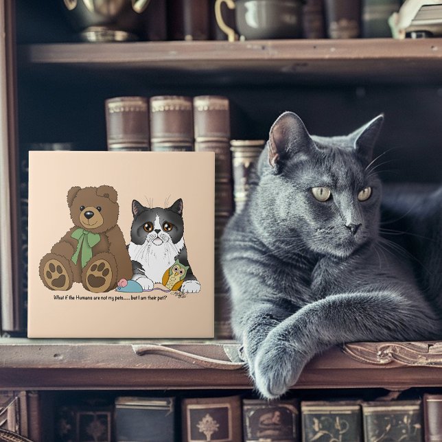 Azulejo Kitty Not Pet (Subido por el creador)