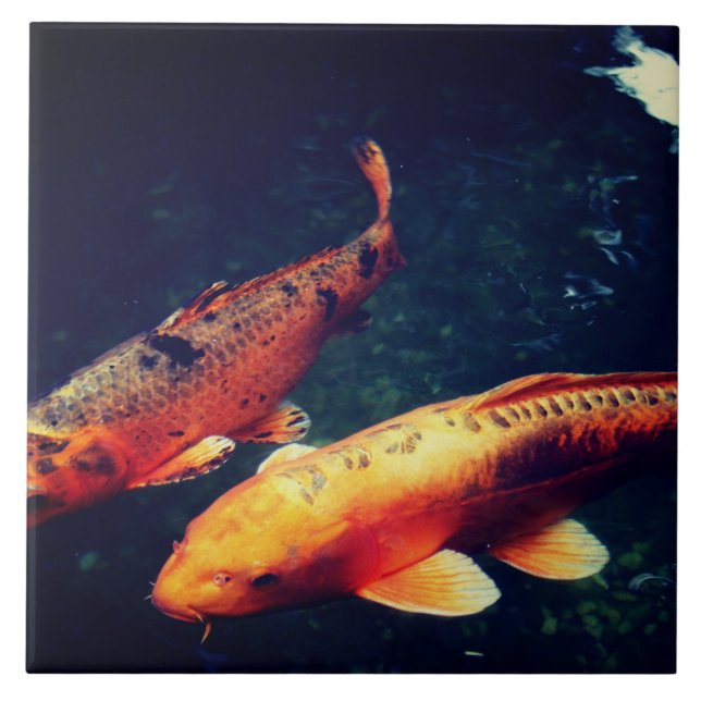 Azulejo Koi (Frente)