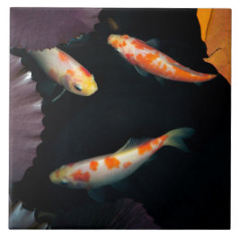 Azulejo Koi elegante tres en la charca del lirio de agua